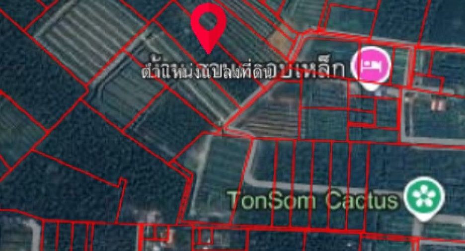 ขาย ที่ดิน ใน อัมพวา, สมุทรสงคราม