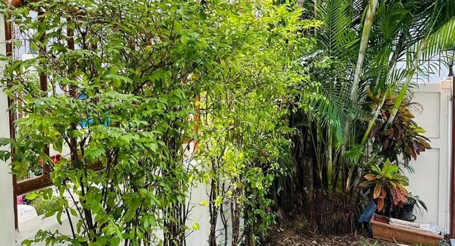 For rent 5 ベッドルーム house in Watthana, Bangkok