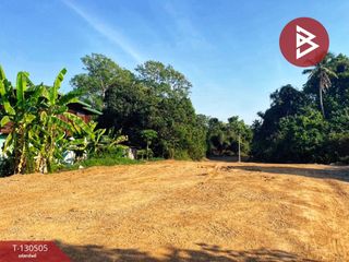 ขาย ที่ดิน ใน เมืองชัยนาท, ชัยนาท