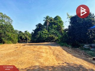 ขาย ที่ดิน ใน เมืองชัยนาท, ชัยนาท