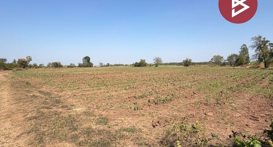 For sale land in Takhli, Nakhon Sawan