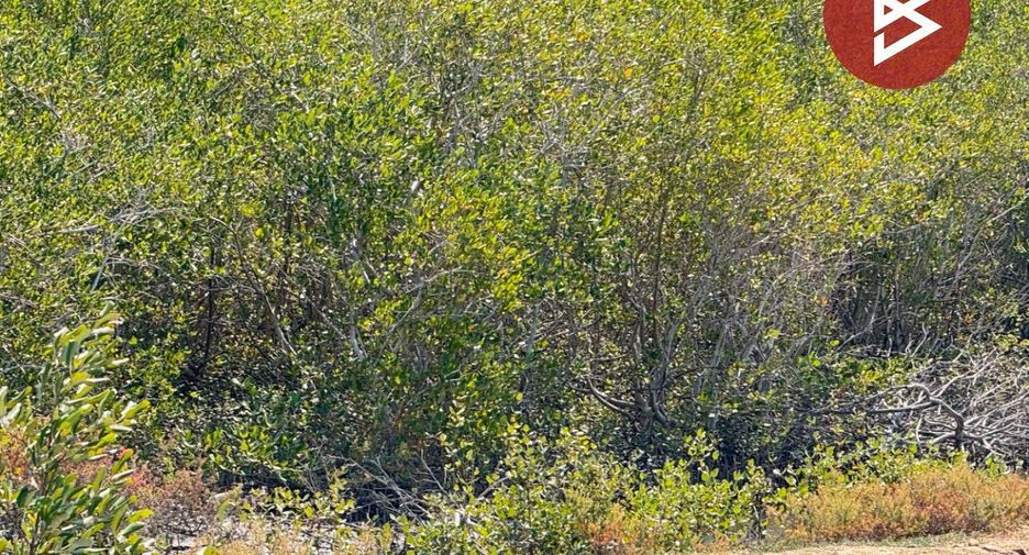 For sale land in Cha Am, Phetchaburi