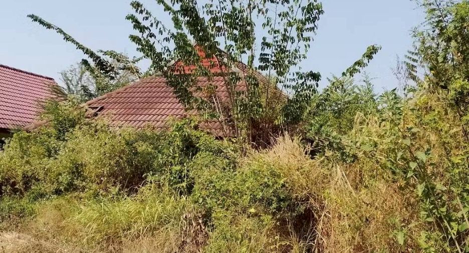 Terreno en venta en Ongkharak, Nakhon Nayok