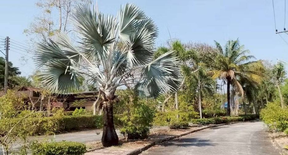 Terreno en venta en Ongkharak, Nakhon Nayok