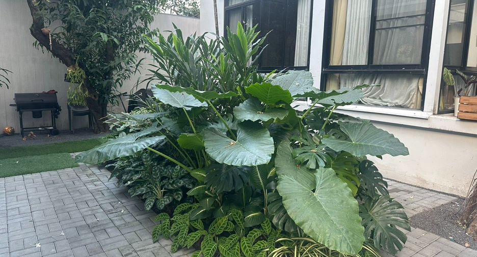 For rent 3 bedrooms house in Khlong Toei, Bangkok