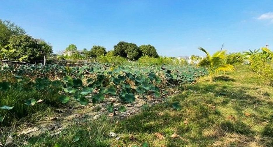 Terreno en venta en Don Mueang, Bangkok
