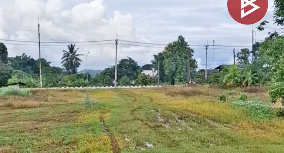 For sale 4 bedrooms house in Thoeng, Chiang Rai