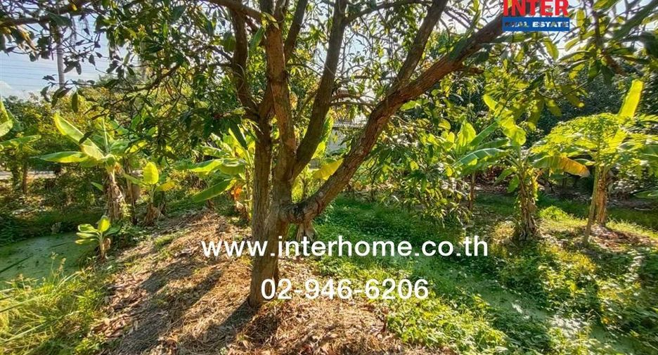 For sale land in Taling Chan, Bangkok