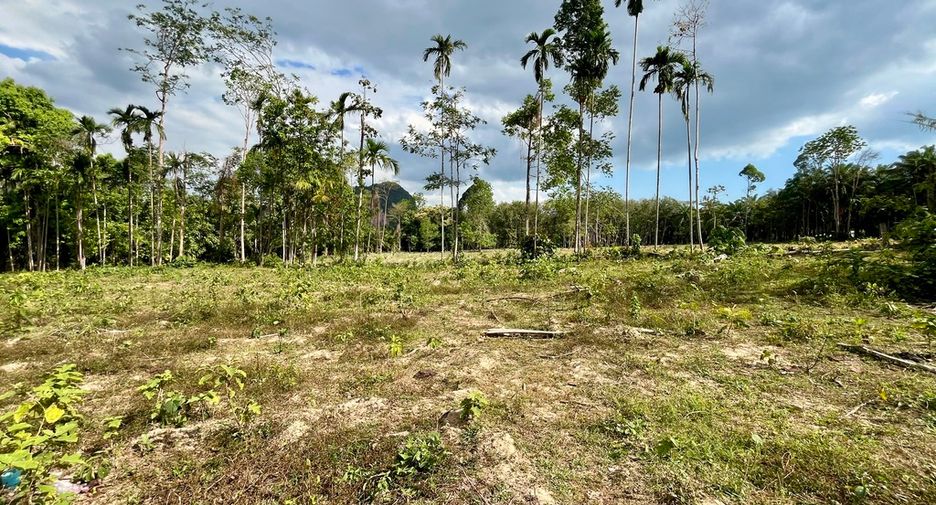 À vendre terrain à Mueang Krabi, Krabi
