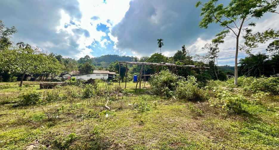 À vendre terrain à Mueang Krabi, Krabi