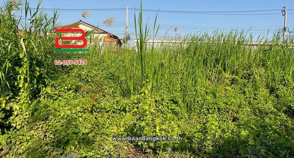 For sale land in Bang Khun Thian, Bangkok