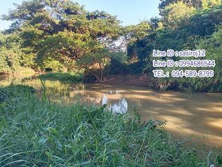 出售 土地 在 Hankha, Chai Nat