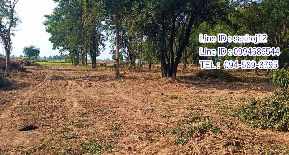 For sale land in Hankha, Chainat
