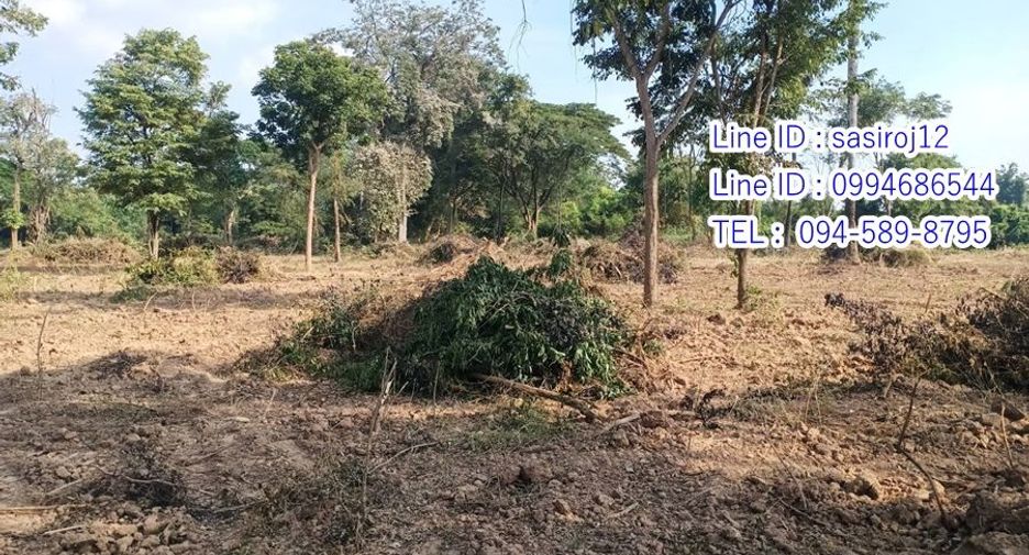 For sale land in Hankha, Chainat