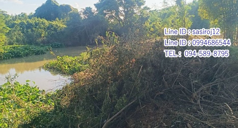For sale land in Hankha, Chainat