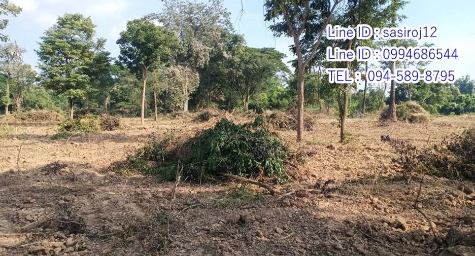 For sale land in Hankha, Chainat
