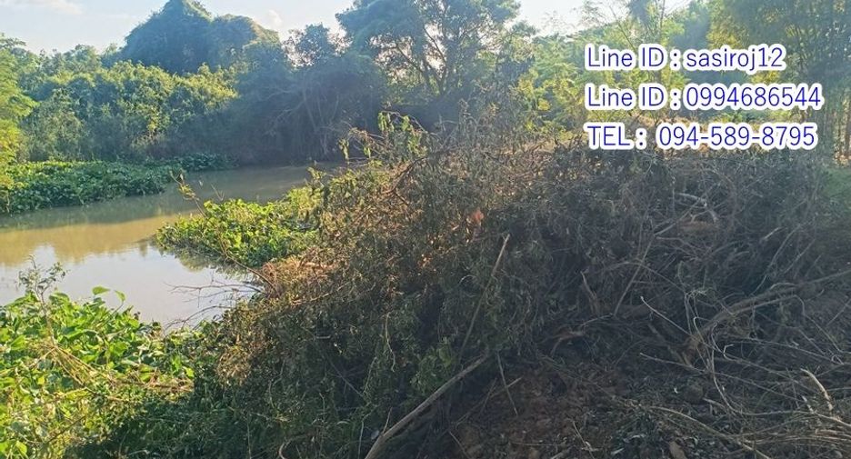 For sale land in Hankha, Chainat