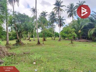 For sale land in Mueang Nakhon Si Thammarat, Nakhon Si Thammarat