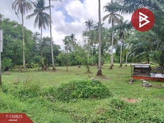 For sale land in Mueang Nakhon Si Thammarat, Nakhon Si Thammarat