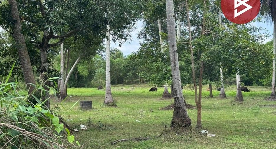 Продажа Участок в Mueang Nakhon Si Thammarat, Nakhon Si Thammarat