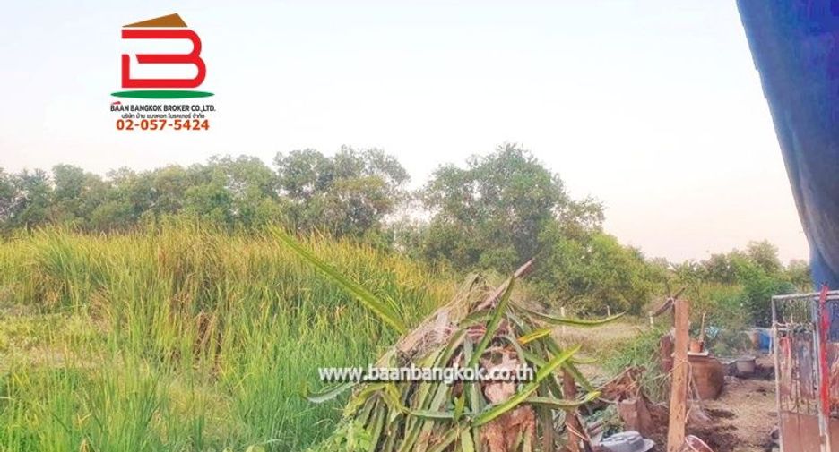 Terreno en venta en Nong Chok, Bangkok