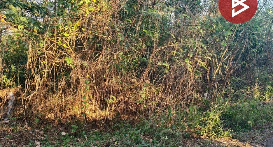 For sale land in Khlong Sam Wa, Bangkok