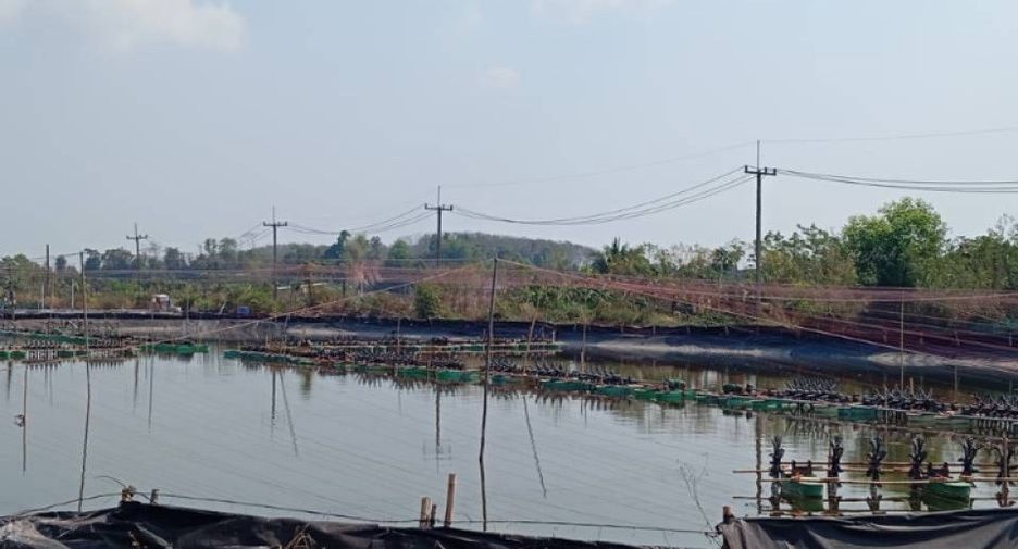 ขาย ที่ดิน ใน นายายอาม, จันทบุรี