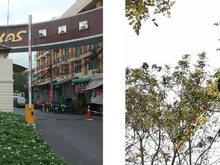ขาย 1 เตียง บ้านเดี่ยว ใน บางพลี, สมุทรปราการ