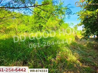 For sale land in Wang Noi, Phra Nakhon Si Ayutthaya