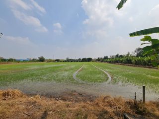 ขาย ที่ดิน ใน บางบัวทอง, นนทบุรี