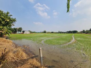 ขาย ที่ดิน ใน บางบัวทอง, นนทบุรี
