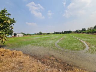 ขาย ที่ดิน ใน บางบัวทอง, นนทบุรี