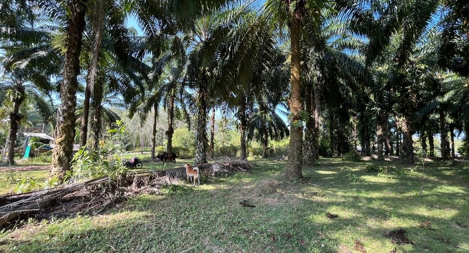 Grundstück zum Kauf in Mueang Krabi, Krabi