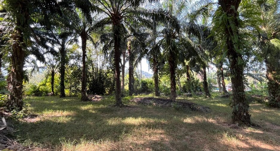 Grundstück zum Kauf in Mueang Krabi, Krabi