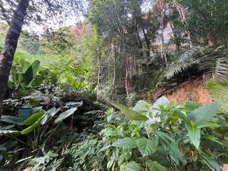 出售 土地 在 Mueang Krabi, Krabi
