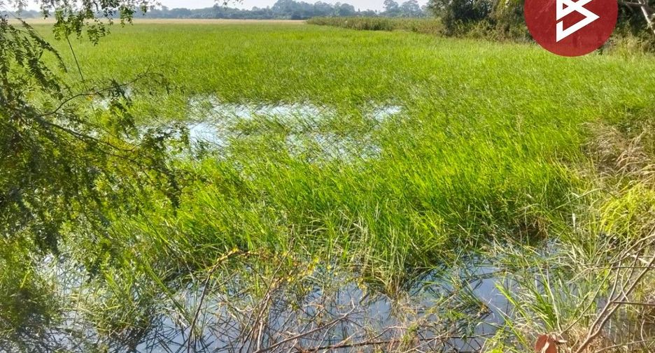 Terreno en venta en Maha Rat, Phra Nakhon Si Ayutthaya