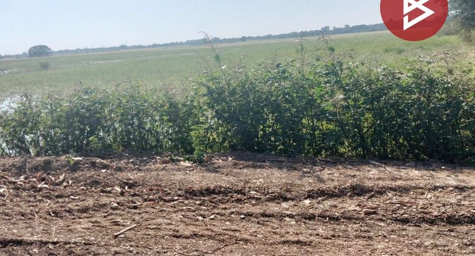 Terreno en venta en Maha Rat, Phra Nakhon Si Ayutthaya