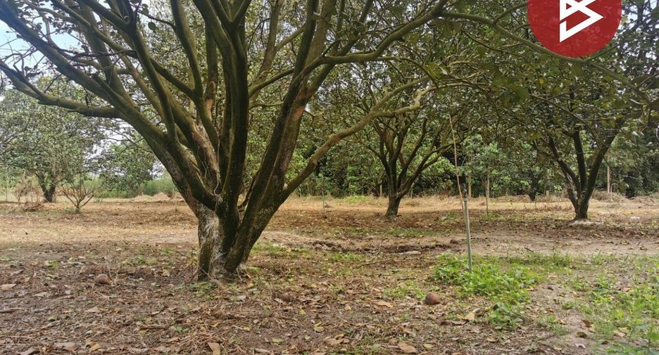 For sale land in Si Maha Phot, Prachin Buri