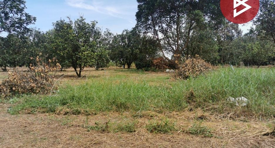 For sale land in Si Maha Phot, Prachin Buri