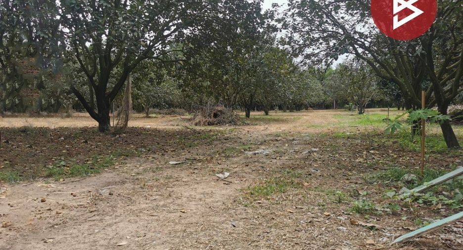 For sale land in Si Maha Phot, Prachin Buri