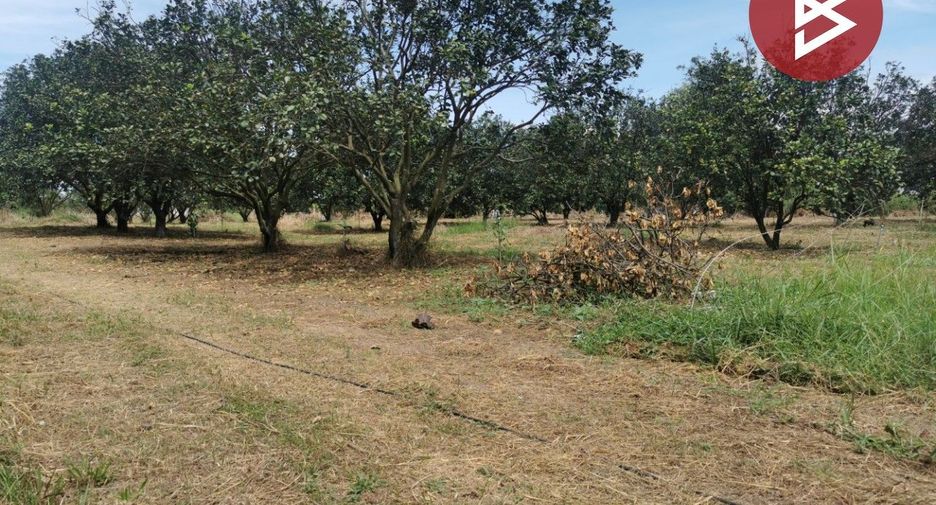 For sale land in Si Maha Phot, Prachin Buri