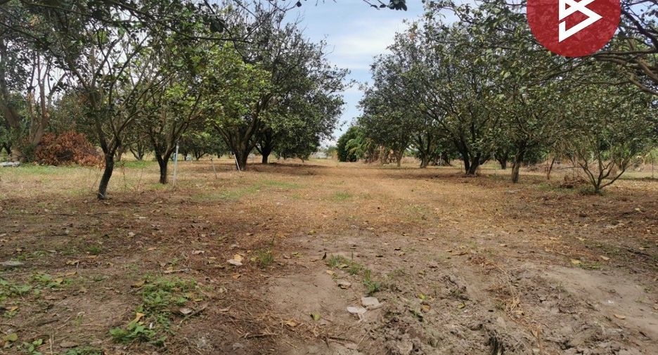 For sale land in Si Maha Phot, Prachin Buri