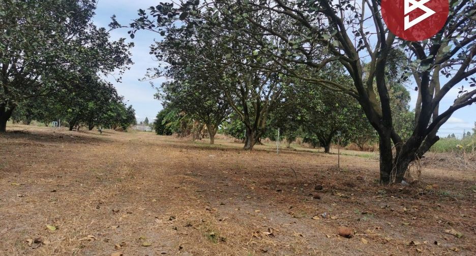 For sale land in Si Maha Phot, Prachin Buri