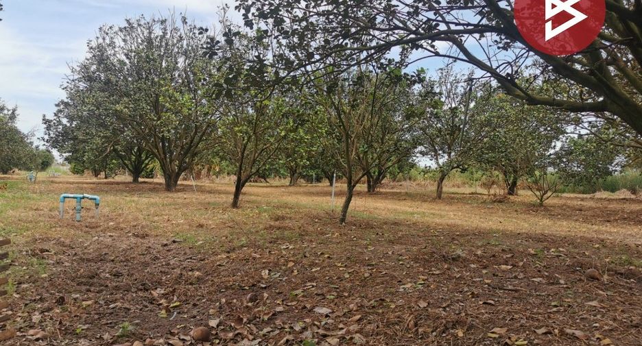 For sale land in Si Maha Phot, Prachin Buri
