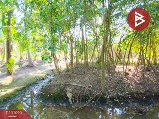 For sale land in Mueang Samut Songkhram, Samut Songkhram