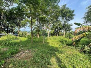Terreno en venta en Ko Samui, Surat Thani