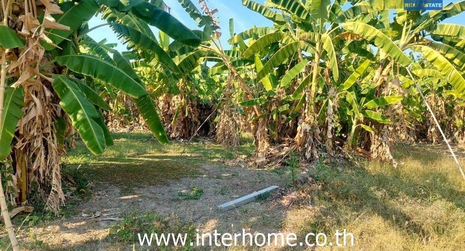 Terreno en venta en Bueng Kum, Bangkok