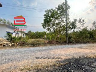 ขาย ที่ดิน ใน หนองเสือ, ปทุมธานี