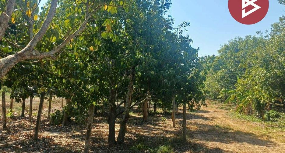 Продажа Участок в Мыанг Районг, Районг