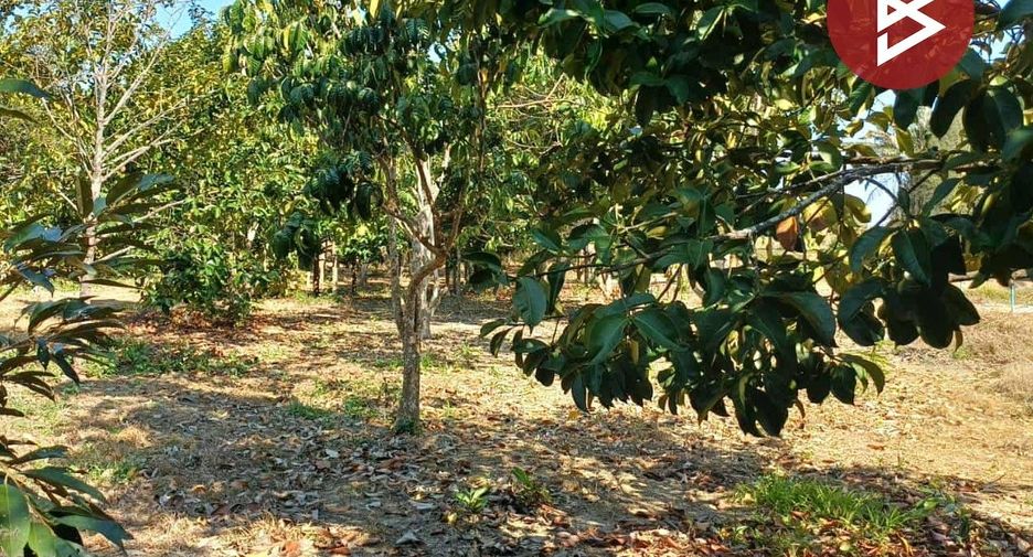 Продажа Участок в Мыанг Районг, Районг